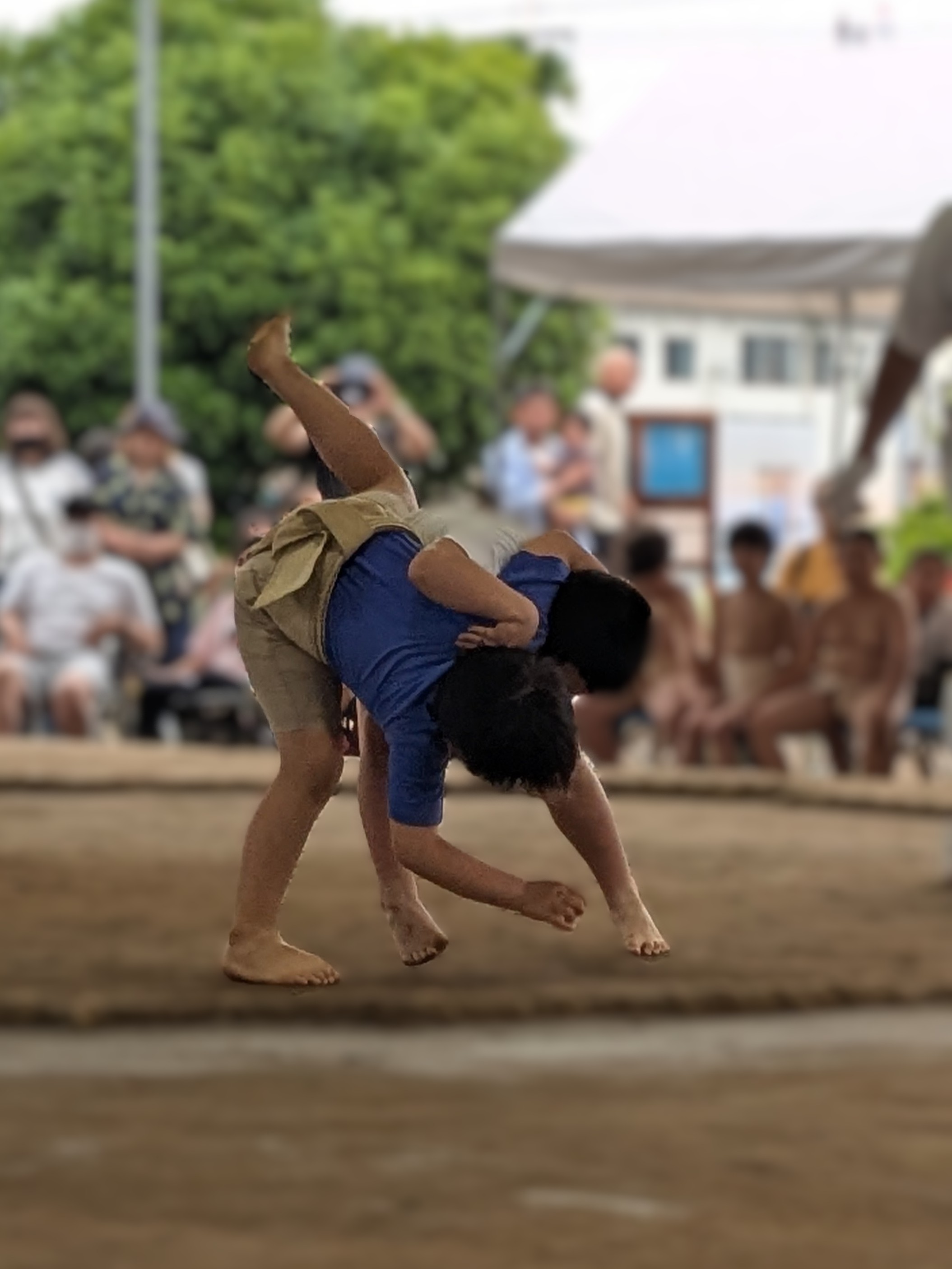 わんぱく相撲取組の様子