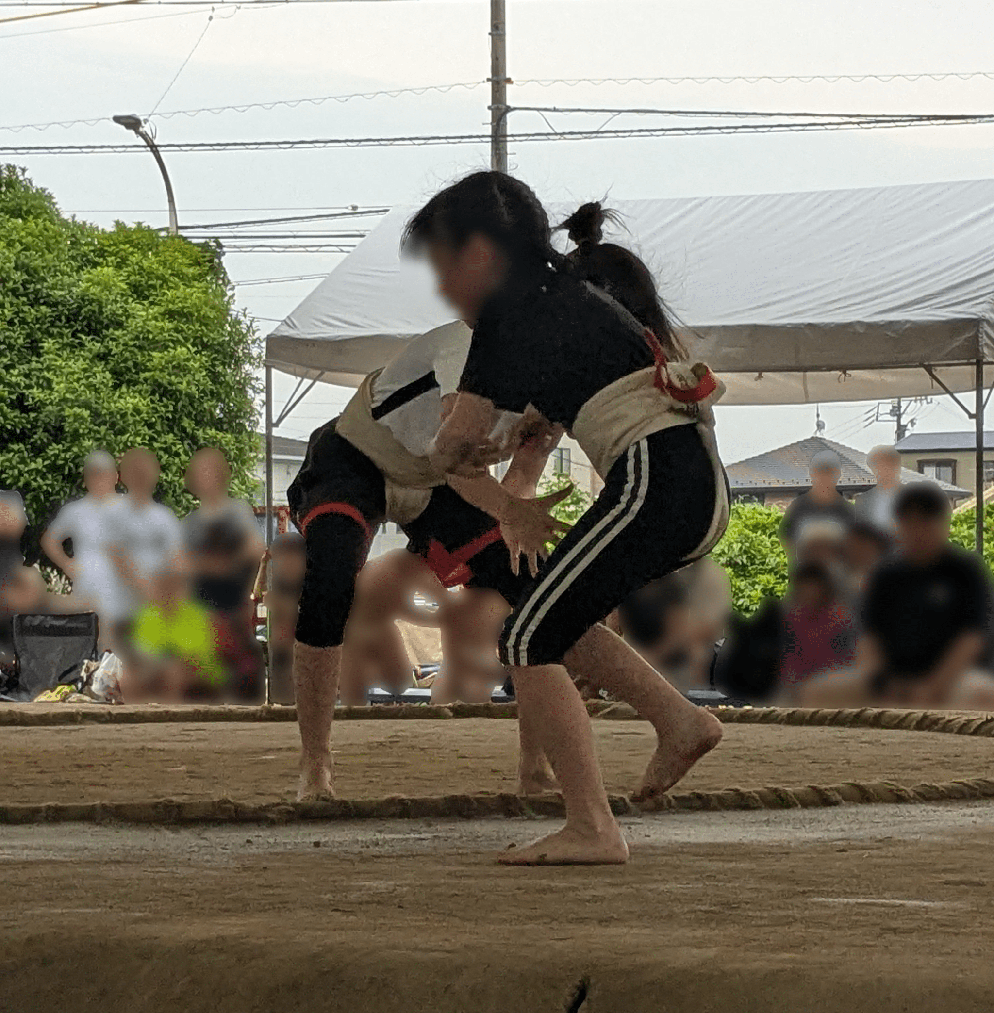 わんぱく相撲取組の様子