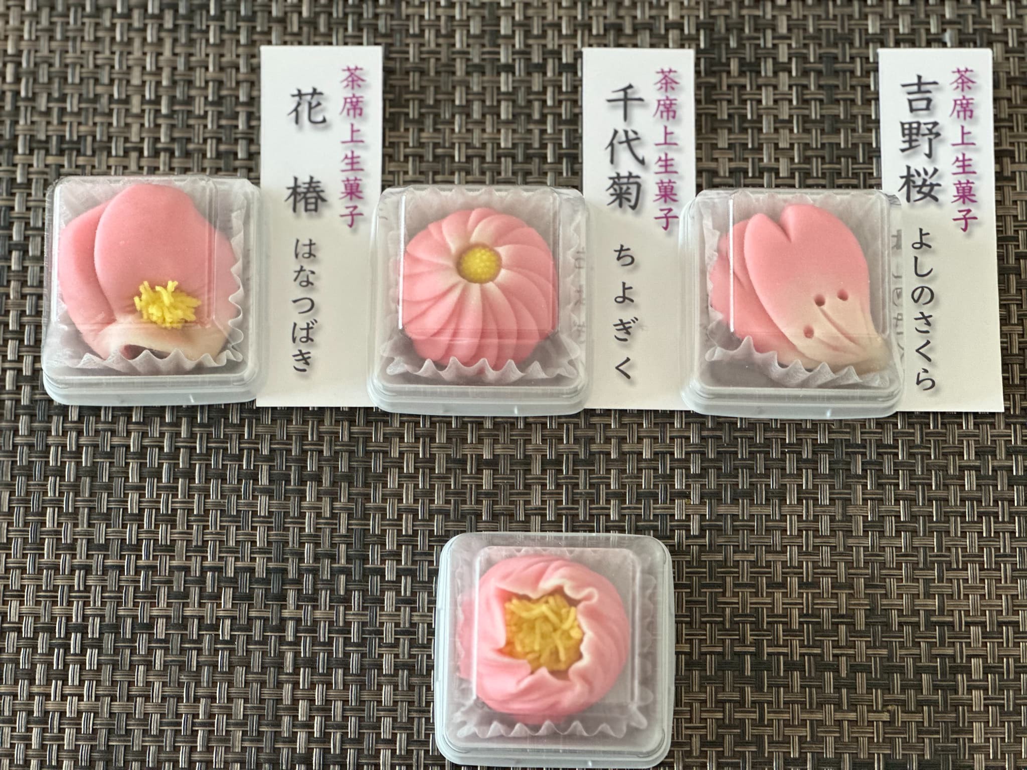 作成する生菓子の見本